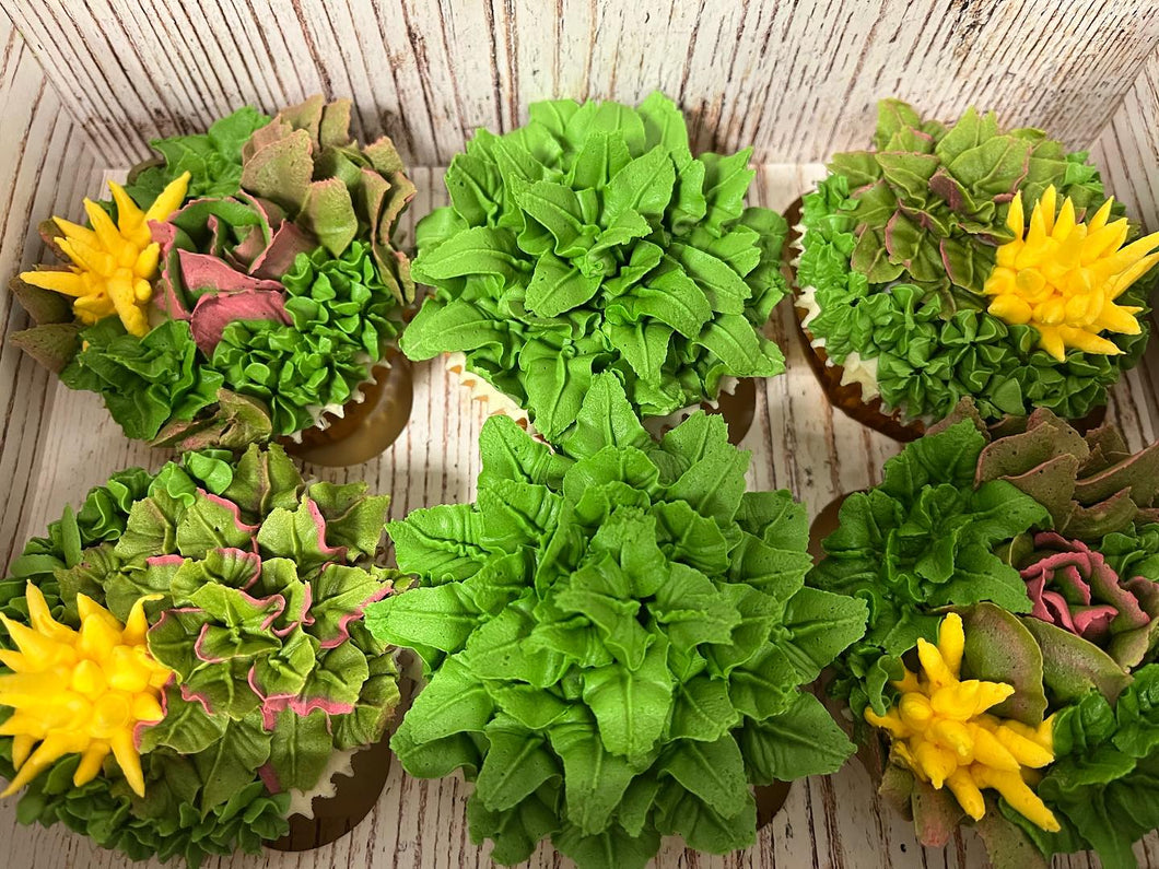 Buttercream Piped Succulent Cupcake Class - Wednesday 15th May