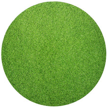 Load image into Gallery viewer, 10" Grass Effect Masonite Board