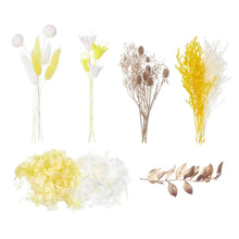 Load image into Gallery viewer, Yellow, Lemon, Gold & White Deluxe Mixed Dried Flower Box