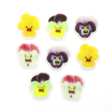 Load image into Gallery viewer, Pansies Sugar Decorations - Pack of 16 (CLICK & COLLECT ONLY)
