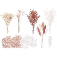 Load image into Gallery viewer, Natural, Latte, Nude & White Deluxe Mixed Dried Flower Box