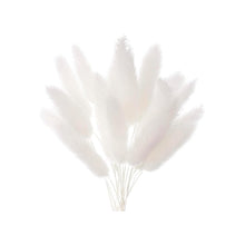 Load image into Gallery viewer, White Lagarus (Bunny Tails) Dried Flower Box