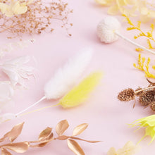 Load image into Gallery viewer, Yellow, Lemon, Gold &amp; White Deluxe Mixed Dried Flower Box
