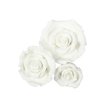 Load image into Gallery viewer, SugarSoft Roses Assorted Sizes
